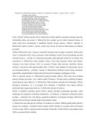 S. Daukanto ir A. Mickevičiaus Lietuva 2 puslapis