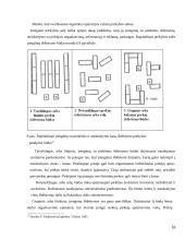 Sandelio logistika 16 puslapis