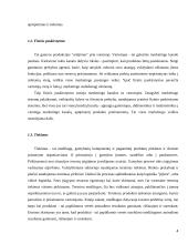 Sandelio logistika 4 puslapis