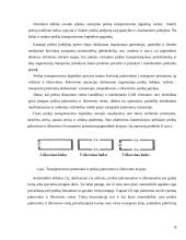 Sandelio logistika 6 puslapis