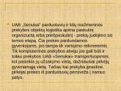 UAB „Senukai“ sandelio logistika  3 puslapis