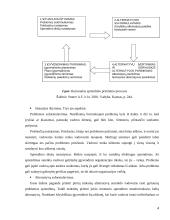 "MG logistics" organizacinės struktūros analizė 4 puslapis