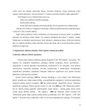 "MG logistics" organizacinės struktūros analizė 9 puslapis