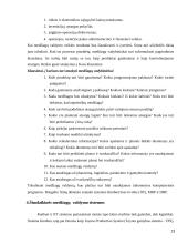 Medžiagų srautų valdymas. Referatas 13 puslapis