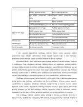 Medžiagų srautų valdymas. Referatas 4 puslapis