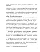 Medžiagų srautų valdymas. Referatas 6 puslapis