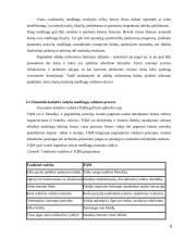 Medžiagų srautų valdymas. Referatas 8 puslapis