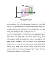 Naujoji žinių ekonomika 5 puslapis