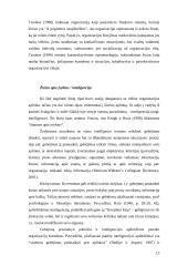 Žinių samprata ir tipai 13 puslapis