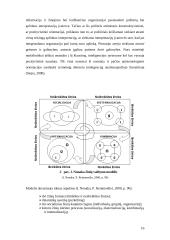 Žinių samprata ir tipai 16 puslapis