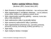 Besimokanti organizacija: vadovavimo ir lyderystės dinamika 13 puslapis
