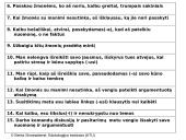 Besimokanti organizacija: vadovavimo ir lyderystės dinamika 17 puslapis