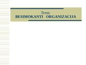 Besimokanti organizacija