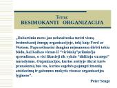 Besimokanti organizacija 2 puslapis