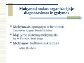 Besimokanti organizacija 11 puslapis