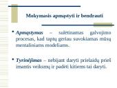 Besimokanti organizacija 12 puslapis