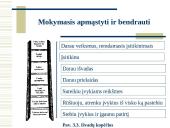 Besimokanti organizacija 13 puslapis