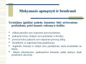 Besimokanti organizacija 14 puslapis