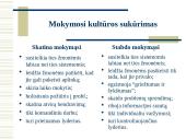 Besimokanti organizacija 15 puslapis