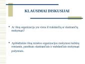 Besimokanti organizacija 17 puslapis