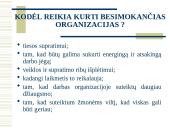 Besimokanti organizacija 4 puslapis