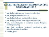 Besimokanti organizacija 6 puslapis
