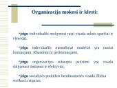Besimokanti organizacija 10 puslapis