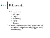 Verslo projektavimas 15 puslapis