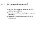 Verslo projektavimas 5 puslapis