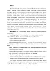 Organizacijų valdymo struktūra 2 puslapis