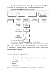 Organizacijų valdymo struktūra 11 puslapis