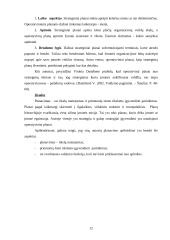 Organizacijų valdymo struktūra 12 puslapis