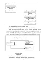 Organizacijų valdymo struktūra 17 puslapis