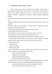 Organizacijų valdymo struktūra 3 puslapis