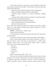 Organizacijų valdymo struktūra 4 puslapis