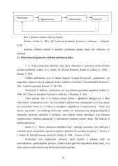 Organizacijų valdymo struktūra 6 puslapis