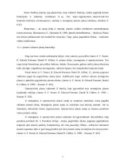 Organizacijų valdymo struktūra 7 puslapis