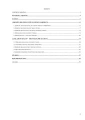 Organizacinė elgsena. Referatas 2 puslapis