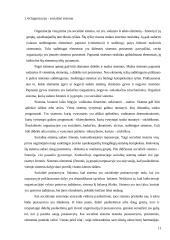 Organizacinė elgsena. Referatas 11 puslapis