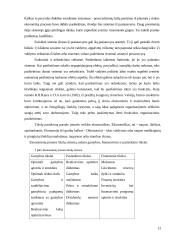 Organizacinė elgsena. Referatas 12 puslapis