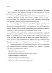 Organizacinė elgsena. Referatas 5 puslapis