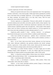 Organizacinė elgsena. Referatas 6 puslapis