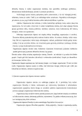 Organizacinė elgsena. Referatas 8 puslapis