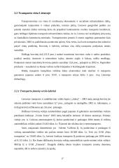 Pakabinamų drabužIų vežimų plėtra Lietuvos rinkoje 17 puslapis