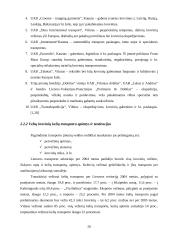 Pakabinamų drabužIų vežimų plėtra Lietuvos rinkoje 20 puslapis