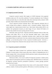 Pakabinamų drabužIų vežimų plėtra Lietuvos rinkoje 8 puslapis