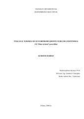 Paslaugų teikimas ir jų vertinimas 