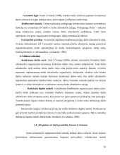 Atlyginimo už darbą sistemos tobulinimas. Referatas 16 puslapis