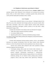 Atlyginimo už darbą sistemos tobulinimas. Referatas 19 puslapis