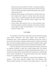 Atlyginimo už darbą sistemos tobulinimas. Referatas 20 puslapis